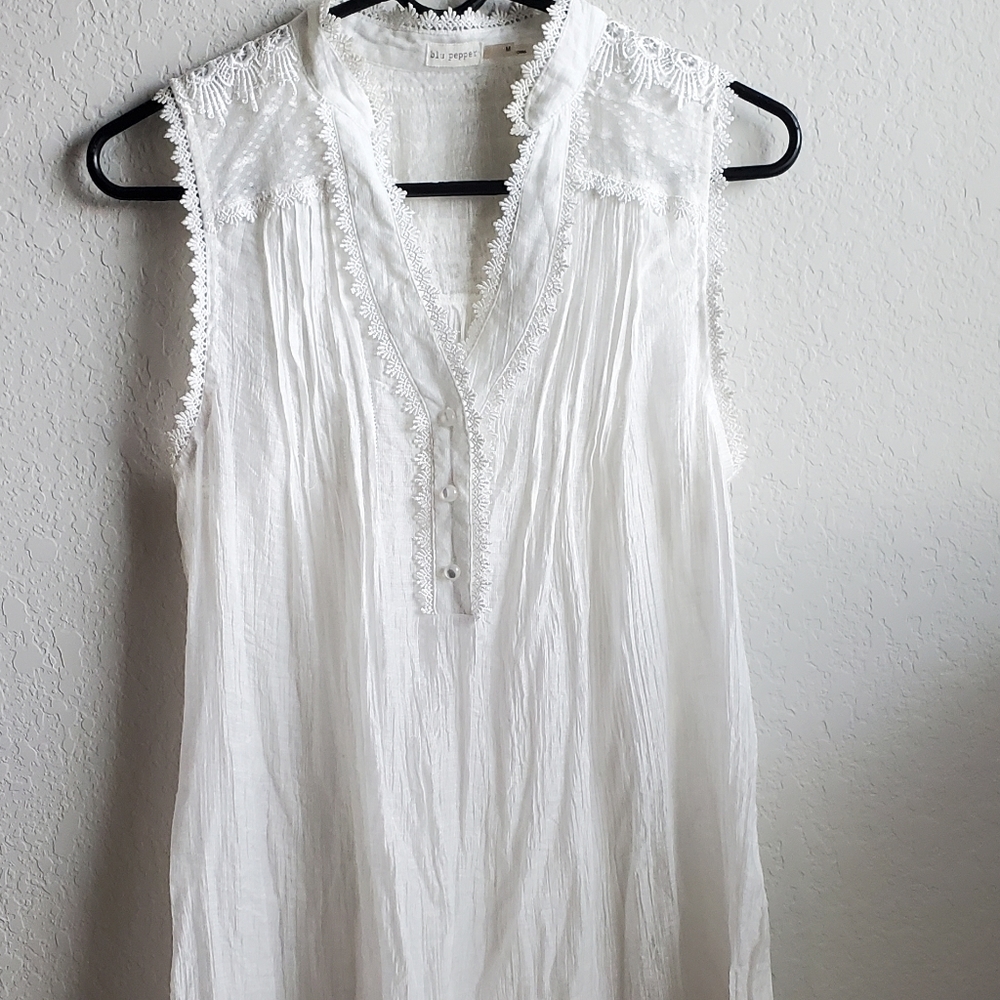 Blu Pepper sheer mini dress
